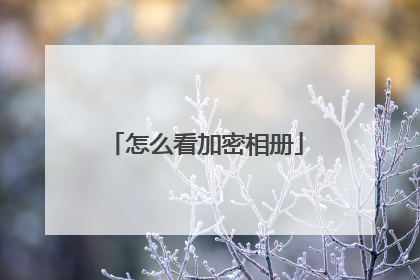 怎么看加密相册