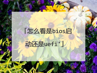 怎么看是bios启动还是uefi'