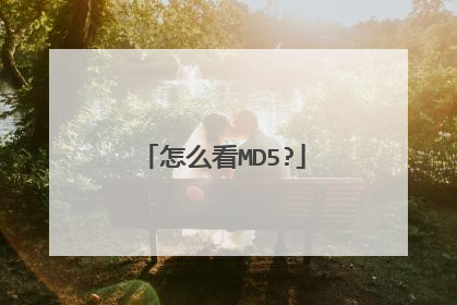 怎么看MD5?