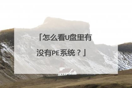 怎么看U盘里有没有PE系统？