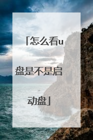 怎么看u盘是不是启动盘