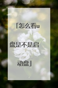 怎么看u盘是不是启动盘