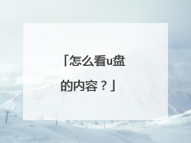 怎么看u盘的内容?