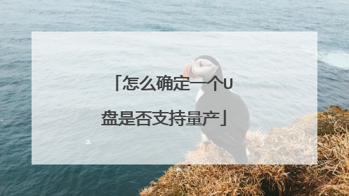 怎么确定一个U盘是否支持量产