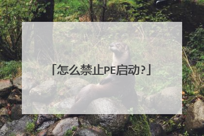 怎么禁止PE启动?