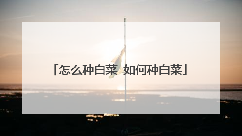 怎么种白菜 如何种白菜