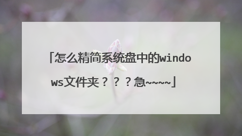 怎么精简系统盘中的windows文件夹???急~~~~