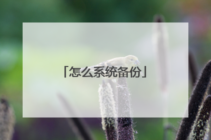 怎么系统备份