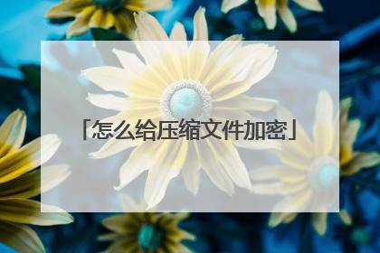 怎么给压缩文件加密