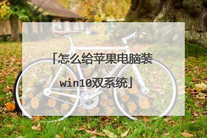 怎么给苹果电脑装win10双系统