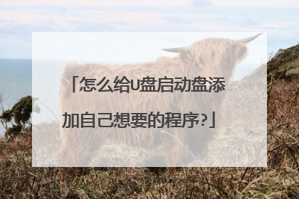 怎么给U盘启动盘添加自己想要的程序?