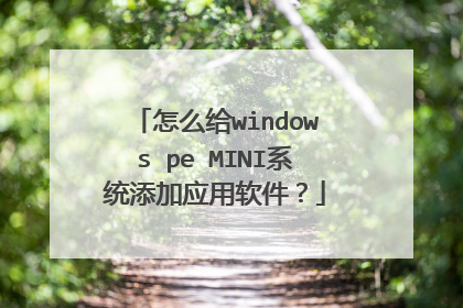 怎么给windows pe MINI系统添加应用软件?