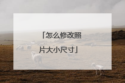 怎么修改照片大小尺寸