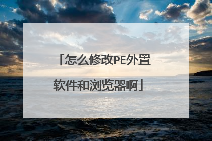 怎么修改PE外置软件和浏览器啊