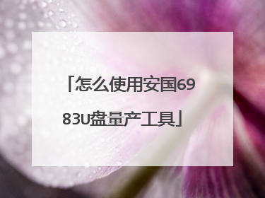 怎么使用安国6983U盘量产工具