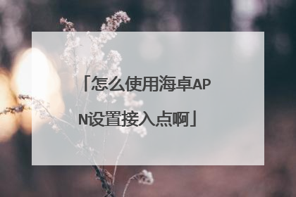 怎么使用海卓APN设置接入点啊
