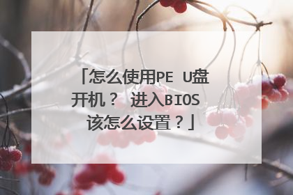 怎么使用PE U盘开机? 进入BIOS 该怎么设置?