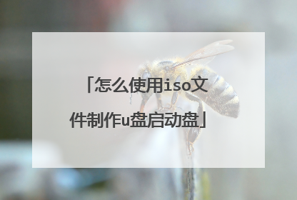 怎么使用iso文件制作u盘启动盘