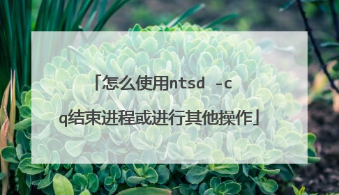 怎么使用ntsd -c q结束进程或进行其他操作
