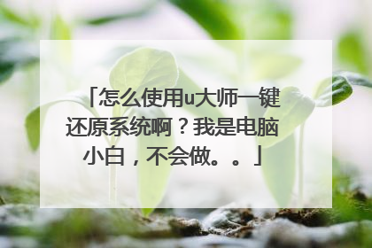 怎么使用u大师一键还原系统啊?我是电脑小白,不会做。。