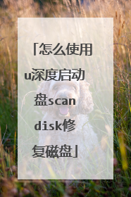 怎么使用u深度启动盘scandisk修复磁盘