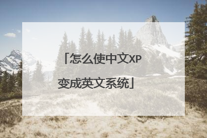 怎么使中文XP变成英文系统