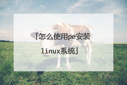 怎么使用pe安装linux系统