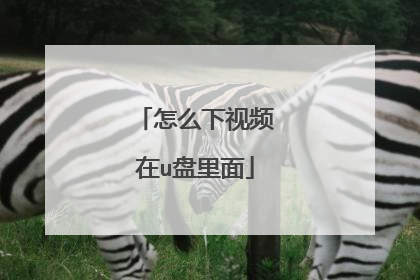 怎么下视频在u盘里面