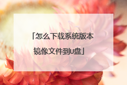 怎么下载系统版本镜像文件到U盘
