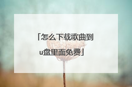 怎么下载歌曲到u盘里面免费