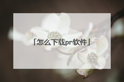 怎么下载pr软件