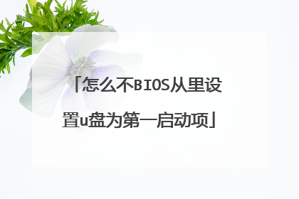 怎么不BIOS从里设置u盘为第一启动项