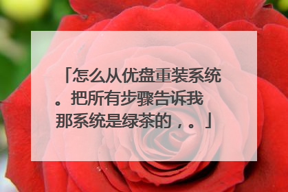 怎么从优盘重装系统。把所有步骤告诉我 那系统是绿茶的,。