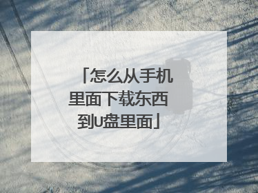怎么从手机里面下载东西到U盘里面
