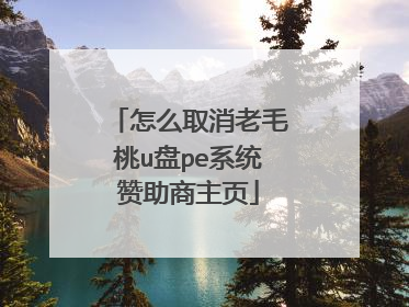 怎么取消老毛桃u盘pe系统赞助商主页