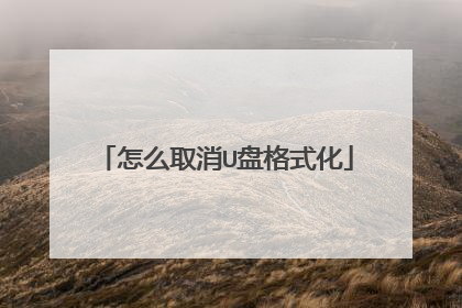 怎么取消U盘格式化