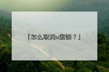 怎么取消u盘锁?