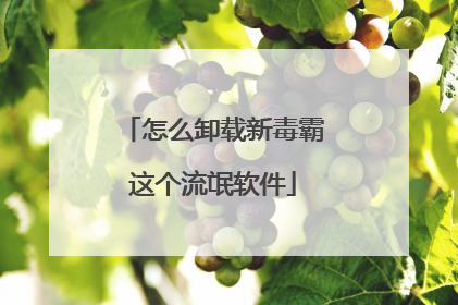 怎么卸载新毒霸这个流氓软件