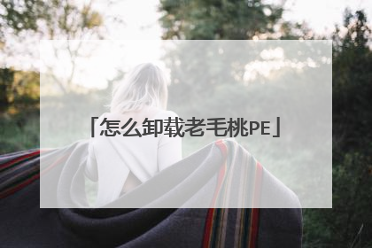 怎么卸载老毛桃PE