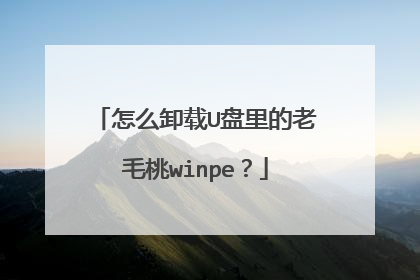 怎么卸载U盘里的老毛桃winpe？