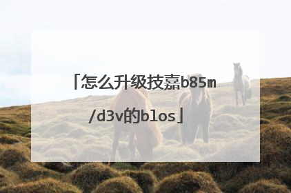 怎么升级技嘉b85m/d3v的blos