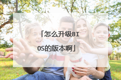 怎么升级BIOS的版本啊