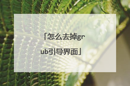 怎么去掉grub引导界面