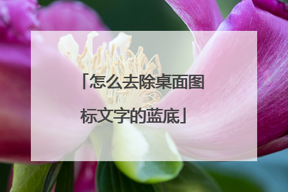 怎么去除桌面图标文字的蓝底