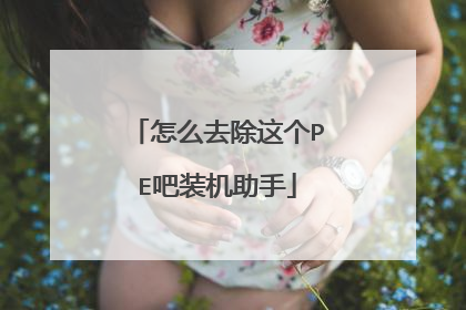 怎么去除这个PE吧装机助手