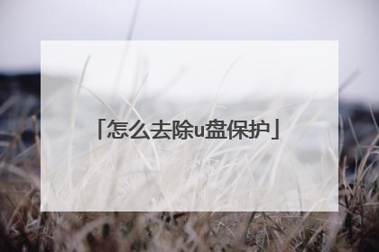怎么去除u盘保护