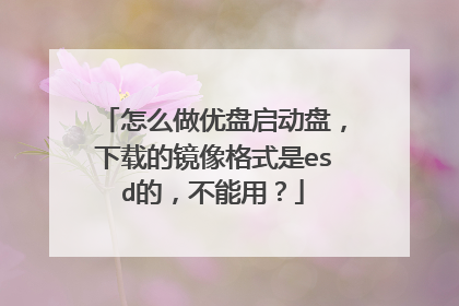 怎么做优盘启动盘,下载的镜像格式是esd的,不能用?
