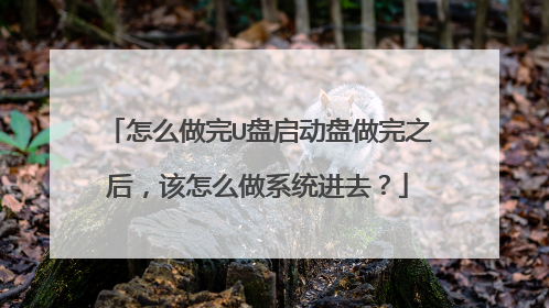 怎么做完U盘启动盘做完之后，该怎么做系统进去？