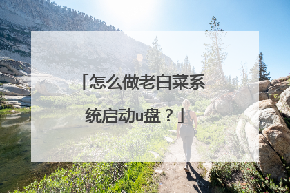 怎么做老白菜系统启动u盘?