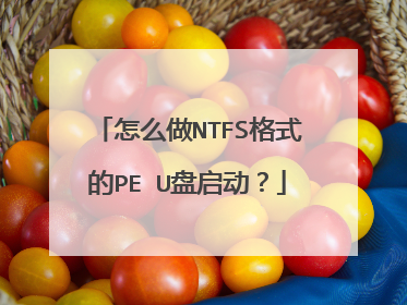 怎么做NTFS格式的PE U盘启动？